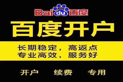 百度SEO优化公司案例详解：如何制定有效的推广计划